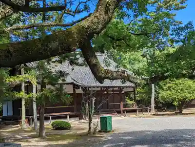 廣隆寺(京都府)