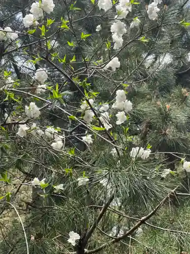 ときわ台天祖神社(東京都)