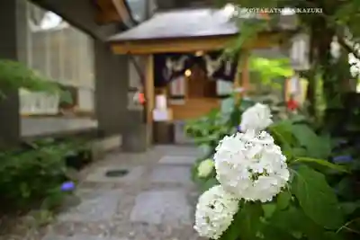 五十稲荷神社(栄寿稲荷神社)(東京都)