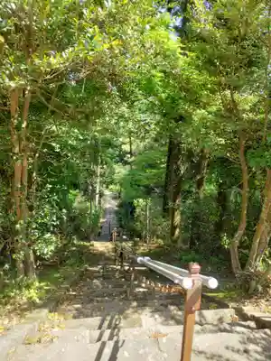 宮谷八幡神社(千葉県)