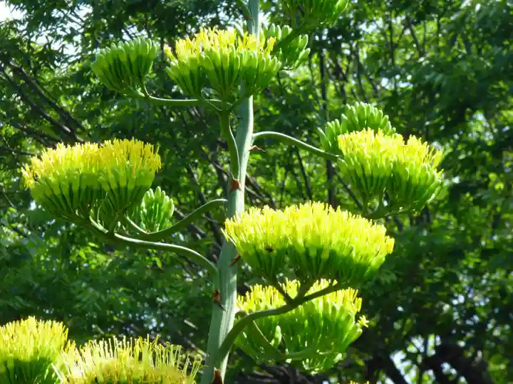 烏森神社(東京都)