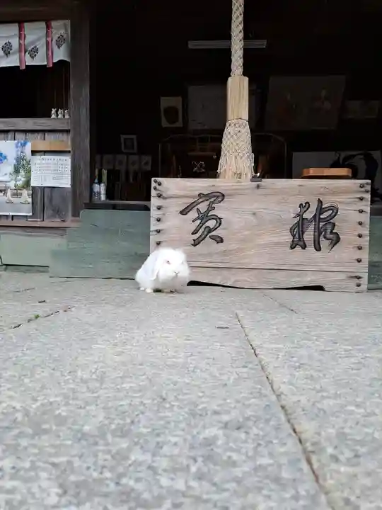 大御和神社(徳島県)