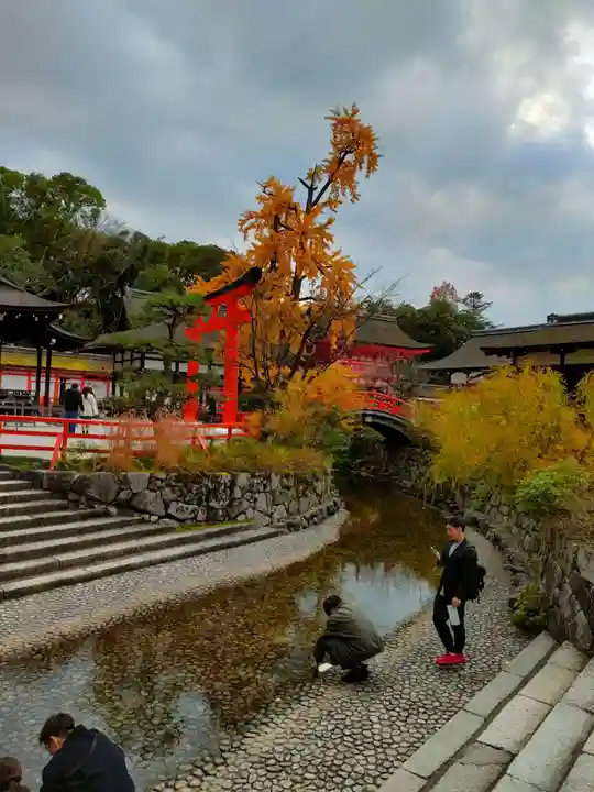 賀茂御祖神社(下鴨神社)(京都府)