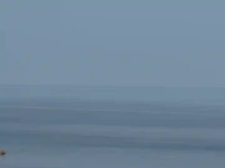 宗像大社沖津宮遥拝所(福岡県)