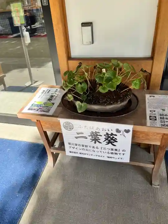 静岡浅間神社(静岡県)