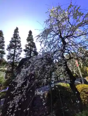 東長谷寺　薬王院(東京都)