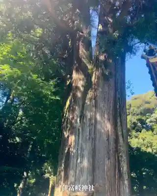 伊富岐神社(岐阜県)