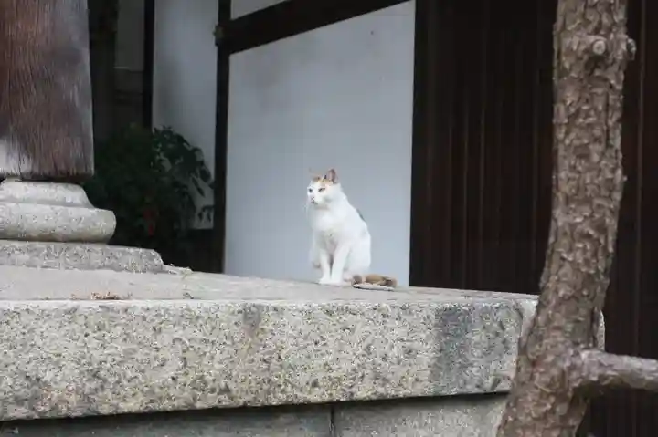 行願寺(革堂)(京都府)