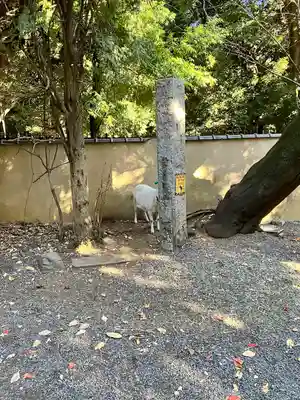水稲荷神社(東京都)