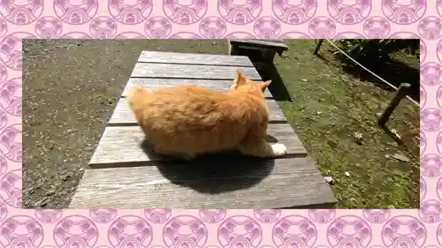 小松寺(千葉県)