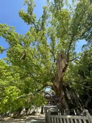 大山祇神社(愛媛県)