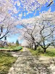 潮見神社の自然