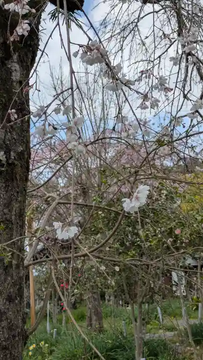惠心院(京都府)