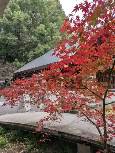 乃木神社(東京都)