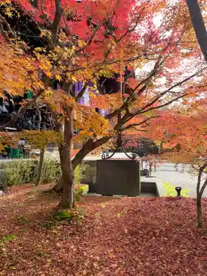 禅林寺(永観堂)の自然