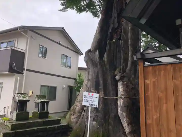 達屋酢蔵神社(長野県)