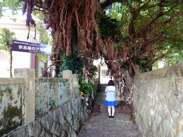 奈良尾神社の自然