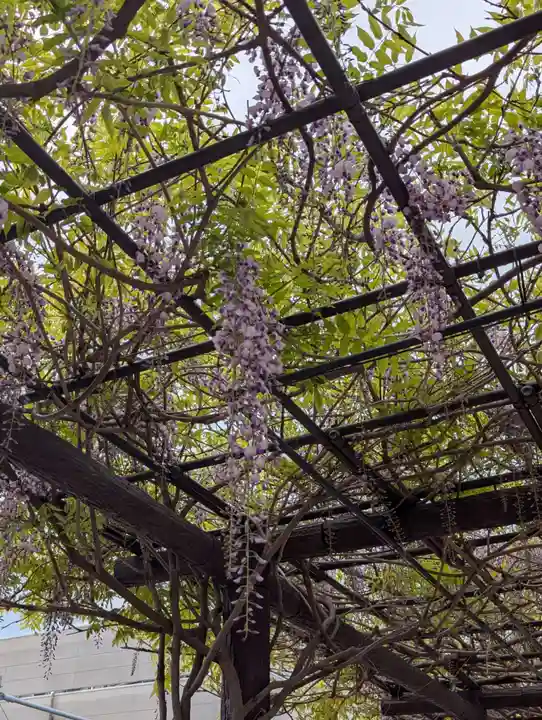 石濱神社(東京都)
