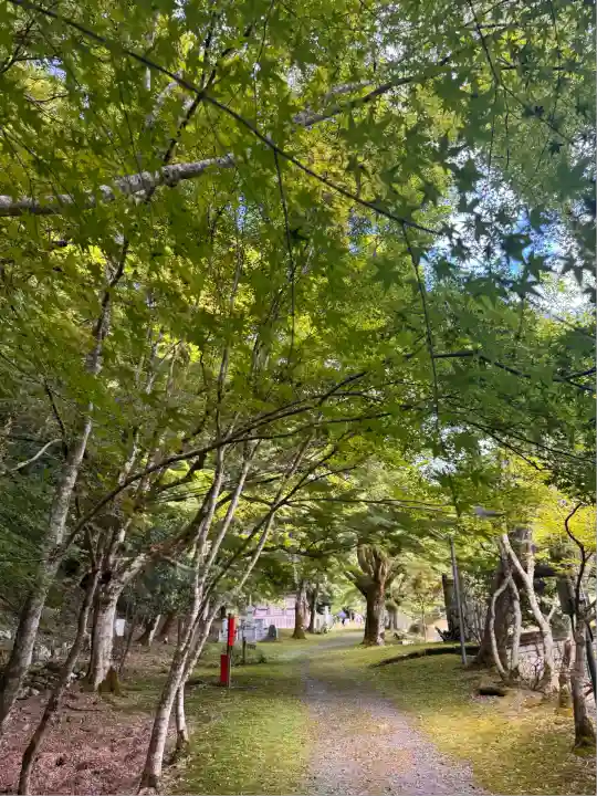 金剛院(京都府)