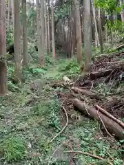 佐室浅野神社の自然