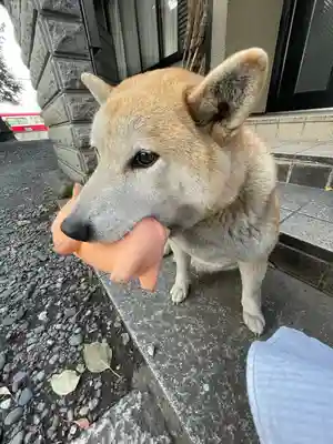 笠䅣稲荷神社(神奈川県)