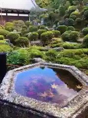 東福禅寺（東福寺）(京都府)