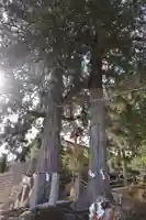 武雄神社(佐賀県)