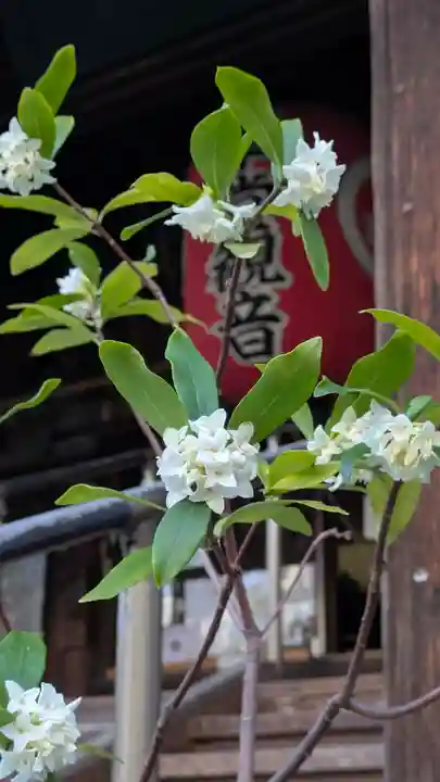 行願寺(革堂)(京都府)