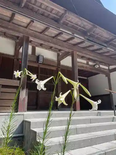 国上寺(新潟県)