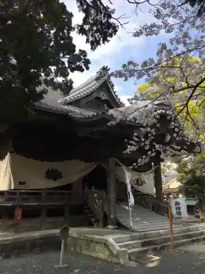 琴平神社の本殿・本堂
