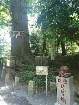 高尾山薬王院のその他建物