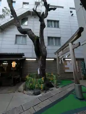 少彦名神社の{uncategorized: "未分類", other: "その他", undefined: "問題あり", building: "その他建物", grave: "お墓", sacred_gate: "鳥居", guardian: "狛犬", statue: "像", buddha: "仏像", history: "歴史", nature: "自然", garden: "庭園", animal: "動物", pagoda: "塔", temizu: "手水舎", mountain_gate: "山門・神門", sanctuary: "本殿・本堂", subordinate: "末社・摂社", art: "芸術", scenery: "景色", jizo: "地蔵", ema: "絵馬", goshuin: "御朱印", omikuji: "おみくじ", items: "授与品その他", amulet: "お守り", goshuincho: "御朱印帳", eats: "食事", festival: "お祭り", votive_dance: "神楽", shichigosan: "七五三参", wedding: "結婚式", experience: "体験その他", initially: "初詣", around: "周辺", anti_infection: "感染症対策"}
