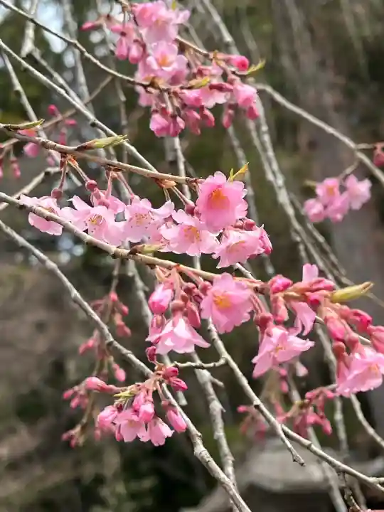 南湖神社(福島県)
