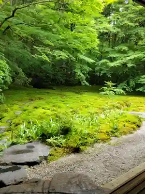 光明寺瑠璃光院(京都府)