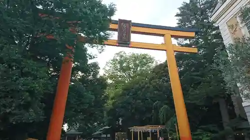 川越氷川神社の鳥居