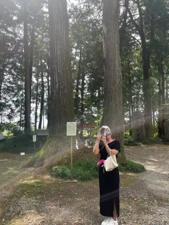 大神神社(栃木県)