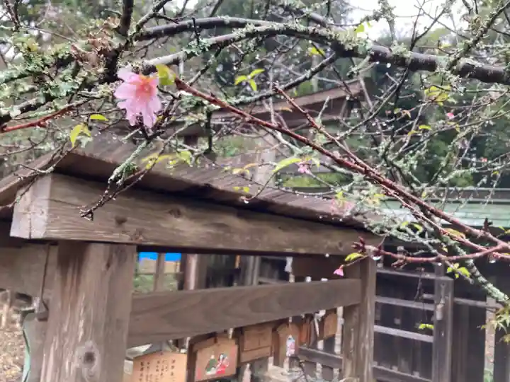 小御門神社(千葉県)