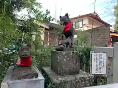 白笹稲荷神社の狛犬