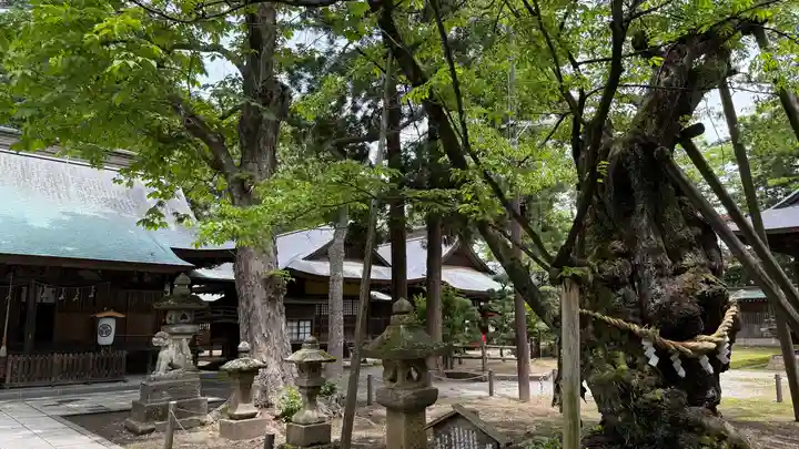 蠶養國神社(福島県)