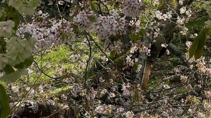 萬松山大雄寺(宮城県)