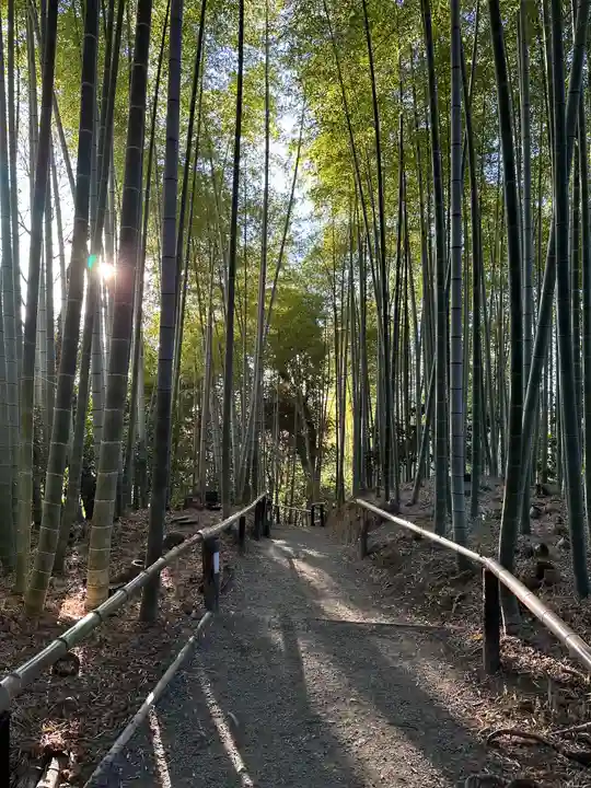 高台寺(高台寿聖禅寺・高臺寺)(京都府)