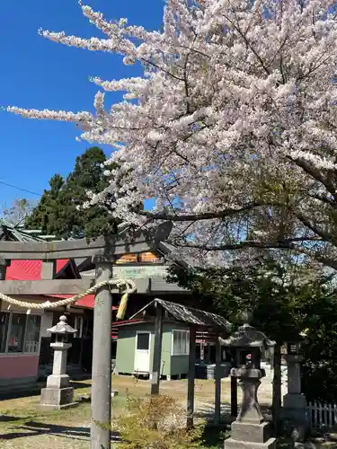 森町稲荷神社の自然