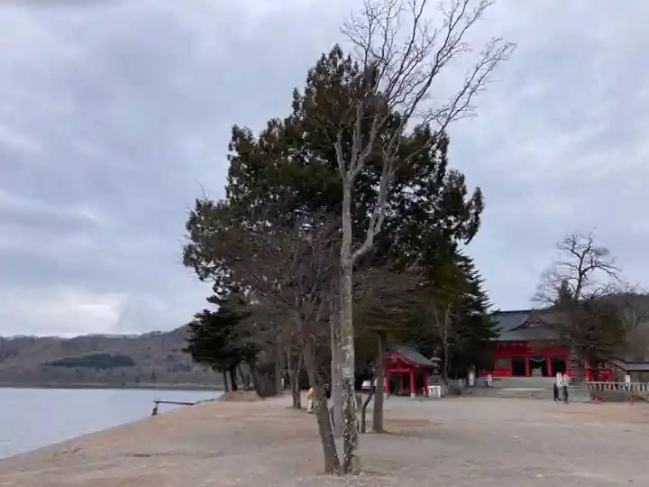 赤城神社の自然