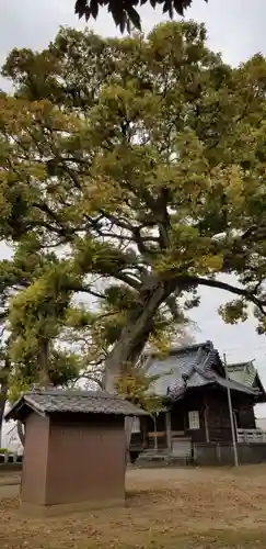 高須香取神社のその他建物