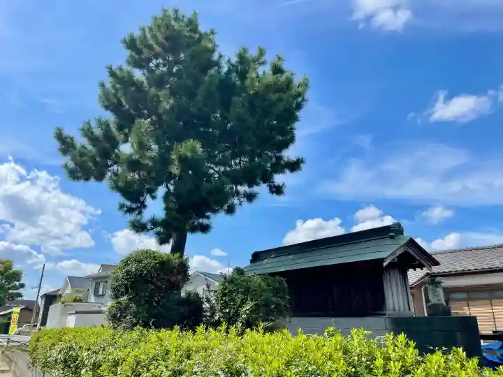 高富蕎高神社(埼玉県)