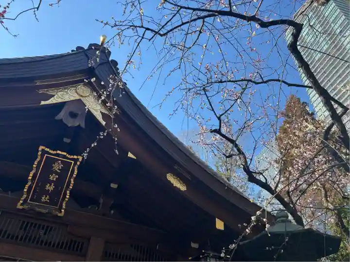 愛宕神社(東京都)