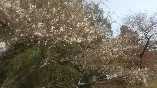 星の宮神社(愛知県)