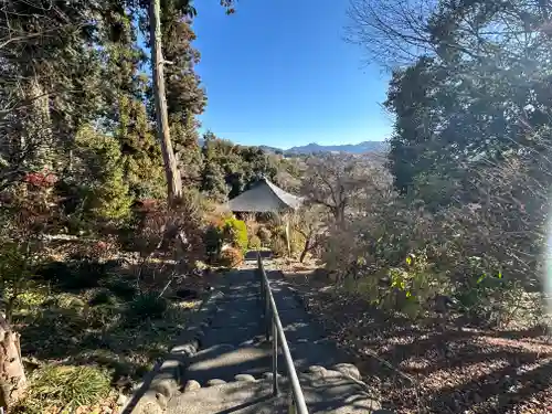 岩之上堂(埼玉県)