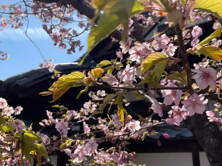 雲龍院の{uncategorized: "未分類", other: "その他", undefined: "問題あり", building: "その他建物", grave: "お墓", sacred_gate: "鳥居", guardian: "狛犬", statue: "像", buddha: "仏像", history: "歴史", nature: "自然", garden: "庭園", animal: "動物", pagoda: "塔", temizu: "手水舎", mountain_gate: "山門・神門", sanctuary: "本殿・本堂", subordinate: "末社・摂社", art: "芸術", scenery: "景色", jizo: "地蔵", ema: "絵馬", goshuin: "御朱印", omikuji: "おみくじ", items: "授与品その他", amulet: "お守り", goshuincho: "御朱印帳", eats: "食事", festival: "お祭り", votive_dance: "神楽", shichigosan: "七五三参", wedding: "結婚式", experience: "体験その他", initially: "初詣", around: "周辺", anti_infection: "感染症対策"}