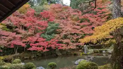 蓮華寺（洛北蓮華寺）(京都府)